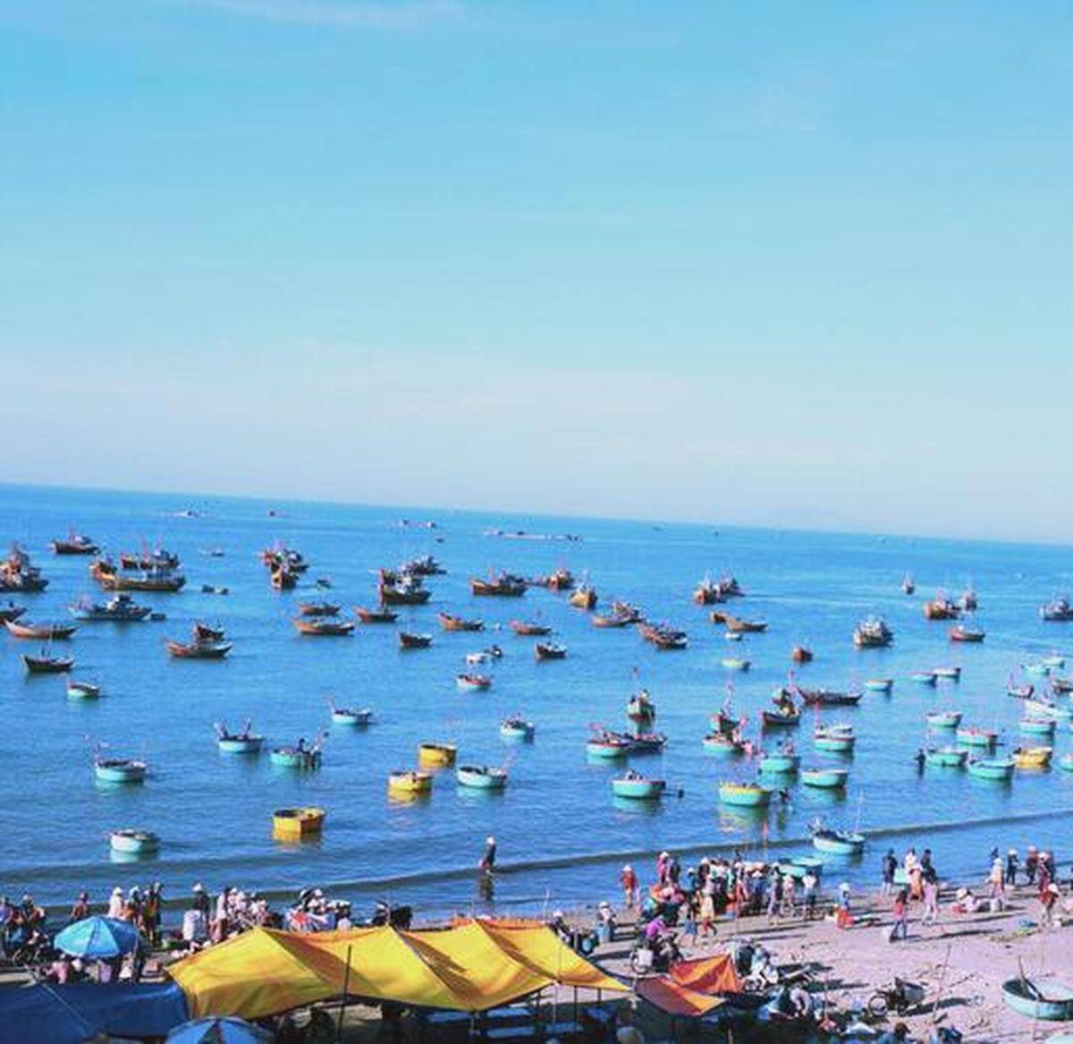 程越南之旅体验异国风情j9国际站登录北海启(图3)