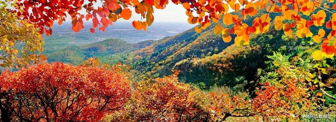 权威！口碑与靠谱兼具的优选清单J9国际网站2025十大旅行社(图5)