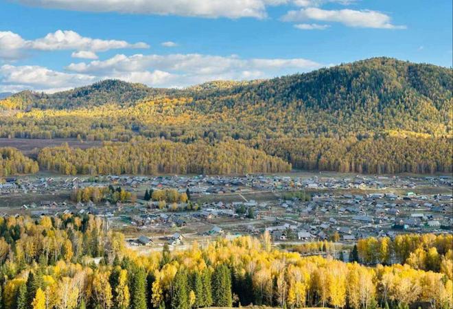 OP5精选榜单深度测评爸妈放心游首选j9