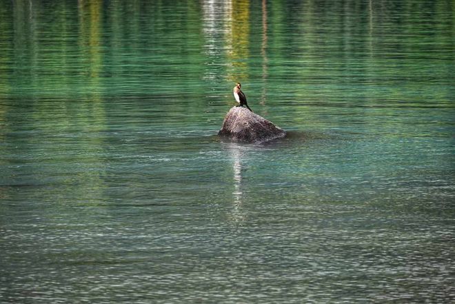 OP5精选榜单深度测评爸妈放心游首选j9国际「12月榜单」阿勒泰旅行社T(图3) OP5精选榜单深度测评爸妈放心游首选j9国际「12月榜单」阿勒泰旅行社T(图3)