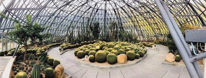 圳深度旅游5天时间行程攻略及省钱方案九游会网址是多少深圳深度旅游攻略去深(图9)