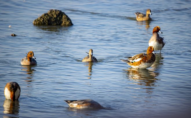 圳深度旅游5天时间行程攻略及省钱方案九游会网址是多少深圳深度旅游攻略去深(图4)