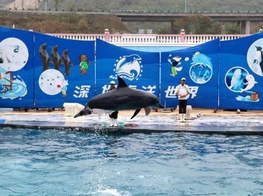 圳深度旅游5天时间行程攻略及省钱方案九游会网址是多少深圳深度旅游攻略去深