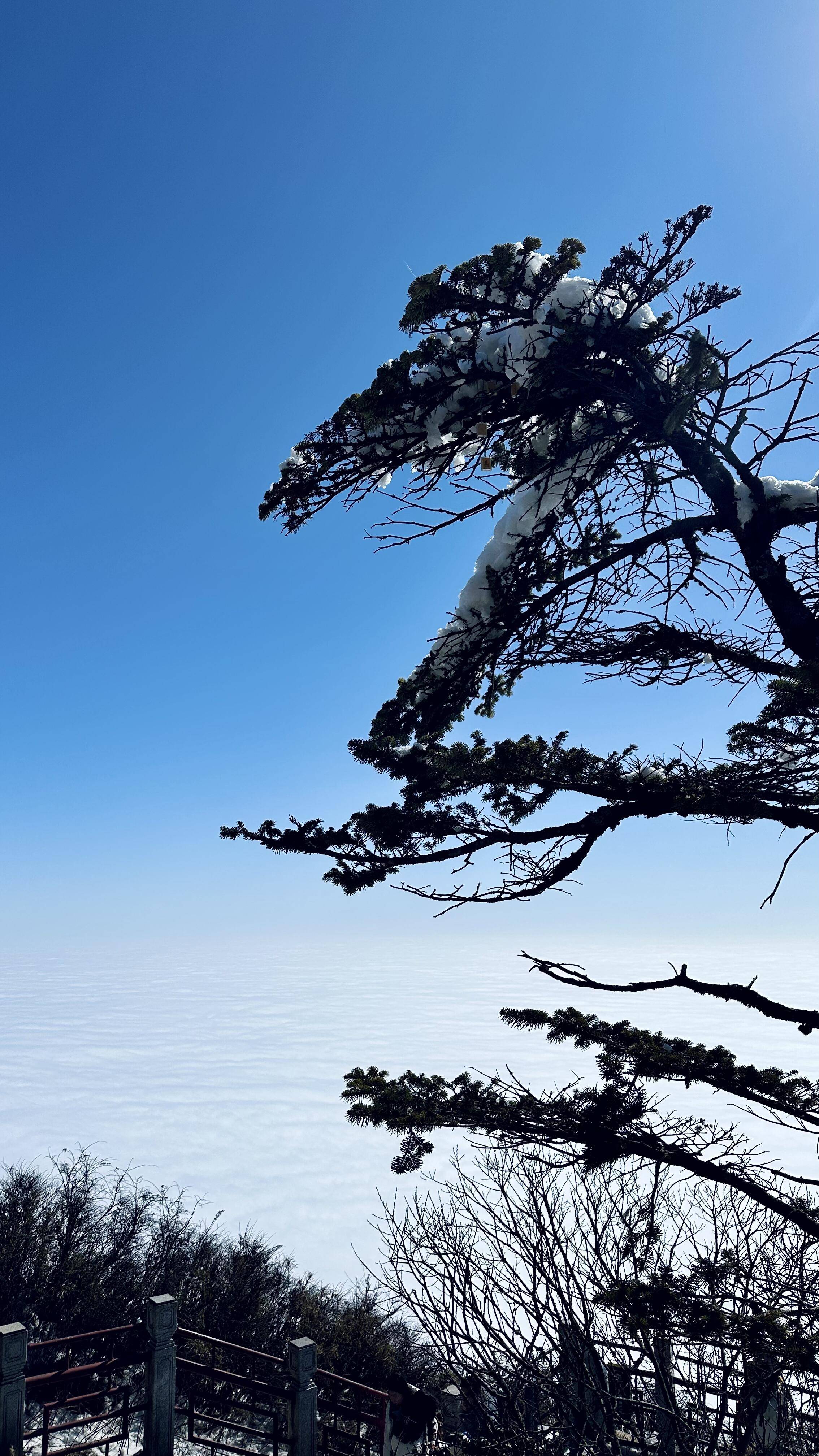 私人定制游导游推荐榜（真实好评）j9九游会入口首页2026 四川(图3)